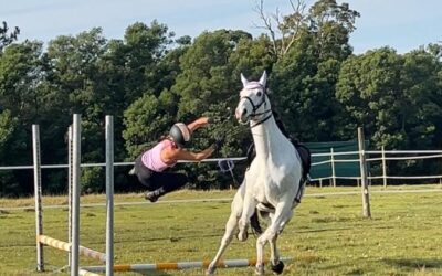 Spooky Horse on a BUDGET – Dischem shopping list for a spooky horse