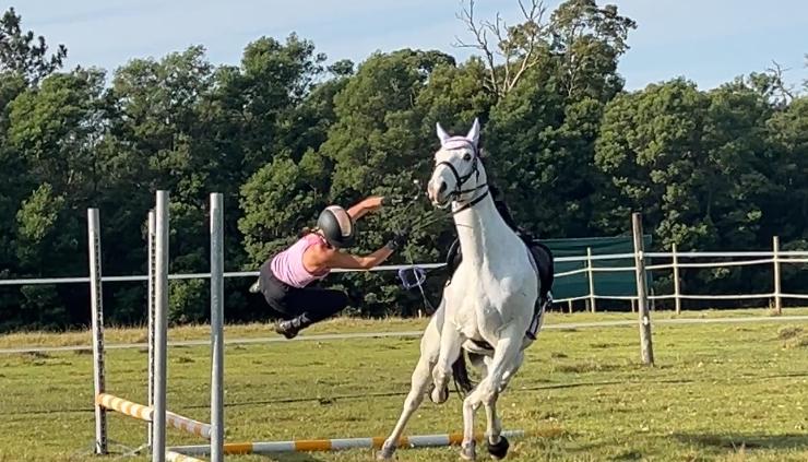 Spooky Horse on a BUDGET – Dischem shopping list for a spooky horse